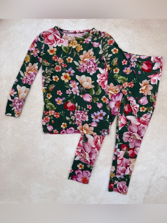 Posh Peanut Other - Posh Peanut Floral Pajama Set - Green, Pink, Yellow